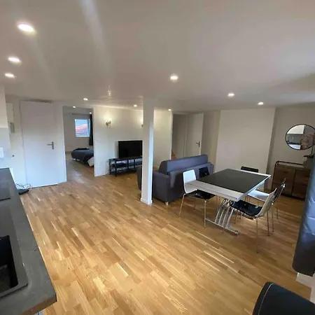 Apartment Duplex Centre Confort Proche Nancy *