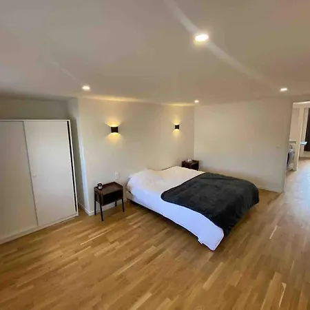 Apartment Duplex Centre Confort Proche Nancy *