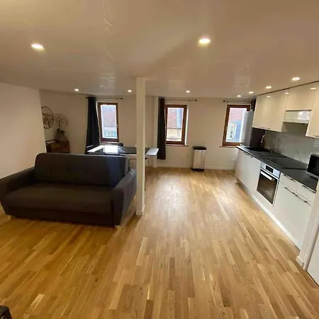 Duplex Centre Confort Proche Nancy Luneville